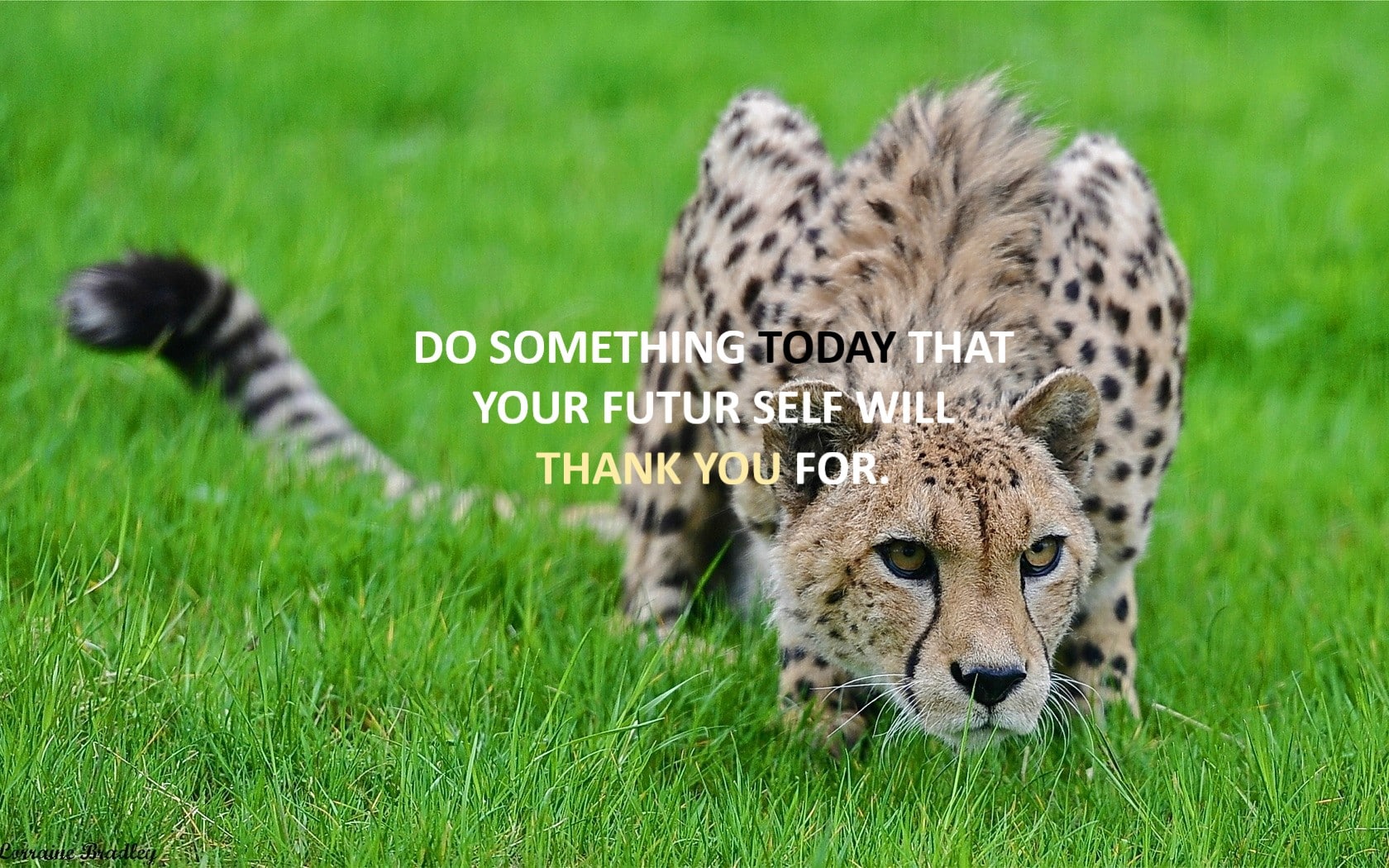 Fait quelque chose aujourd'hui que ton futur toi te remercieras d'avoir fait.